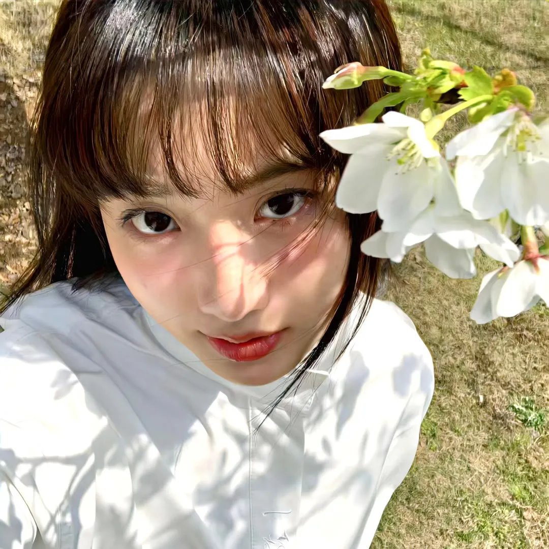 梅府有女初长成