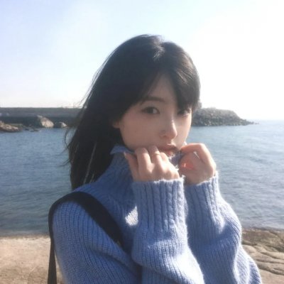 挪威的抵抗